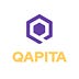 Go to the profile of Qapita