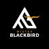 Go to the profile of Mister Blackbird