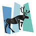 Go to the profile of Caribou Digital