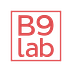 Go to the profile of Team B9lab