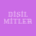 Go to the profile of Dişil Mitler