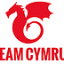 Team Cymru