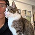 Go to the profile of Jimmy Chiu - Data Engineer