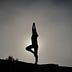 Business of Yoga