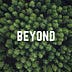 Go to the profile of Beyond Institute