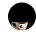Go to the profile of pcthetea