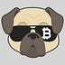 Go to the profile of CoinDog