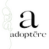 Adoptere: Auditing the Narrative