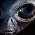 Alien Movie Reviews