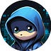 Go to the profile of Data Ninja