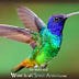 Go to the profile of Nancy Mattoes