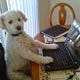 Go to the profile of Roz Warren