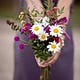 Go to the profile of Anna Rozumnyuk