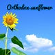 Go to the profile of Orthodox Sunflower