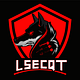 Go to the profile of Lsec
