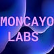 Go to the profile of Moncayo Labs