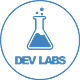 Dev Labs