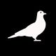 Go to the profile of Courier