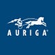Go to the profile of Auriga