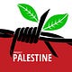 Go to the profile of The Palestine Project