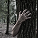 Go to the profile of Mr. Darkink