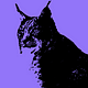 Go to the profile of Velvet Lynx