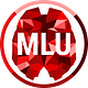 mindlevelup