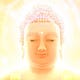Go to the profile of Namo Amitabha Buddha