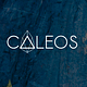 Go to the profile of caleosblocks