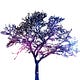 Go to the profile of ELM Awakening
