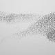 Go to the profile of Swarm
