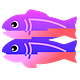 Glitch