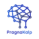 Go to the profile of Pragnakalp Techlabs