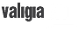 Valigia Blu