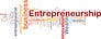 Egyptian Startup Manual