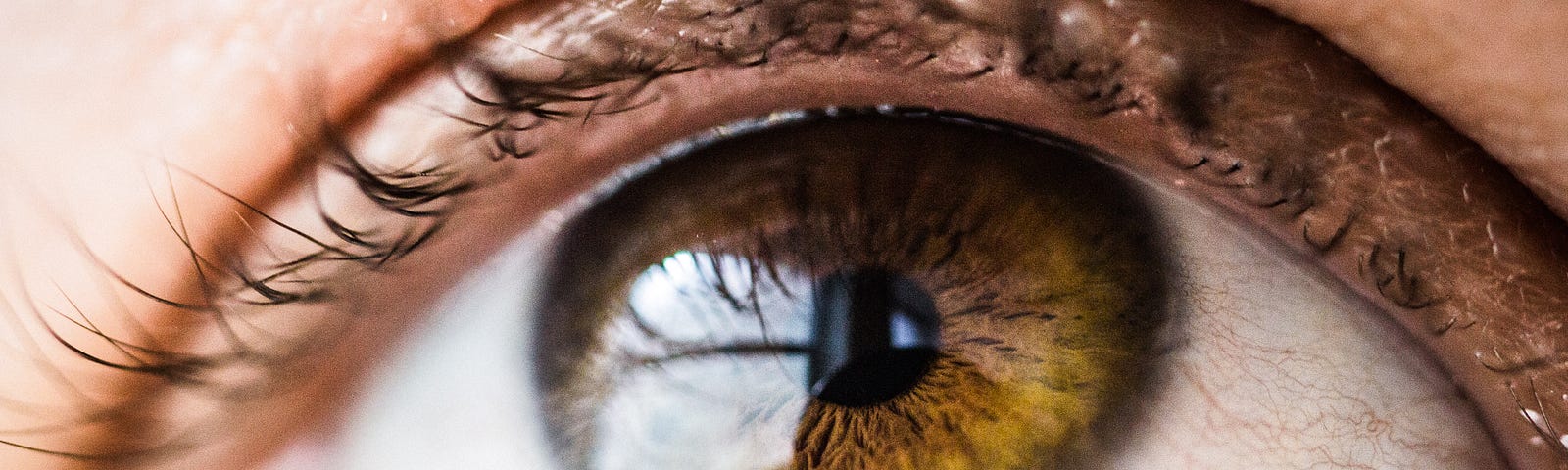 Close-up of a light brown eye, looking upward.