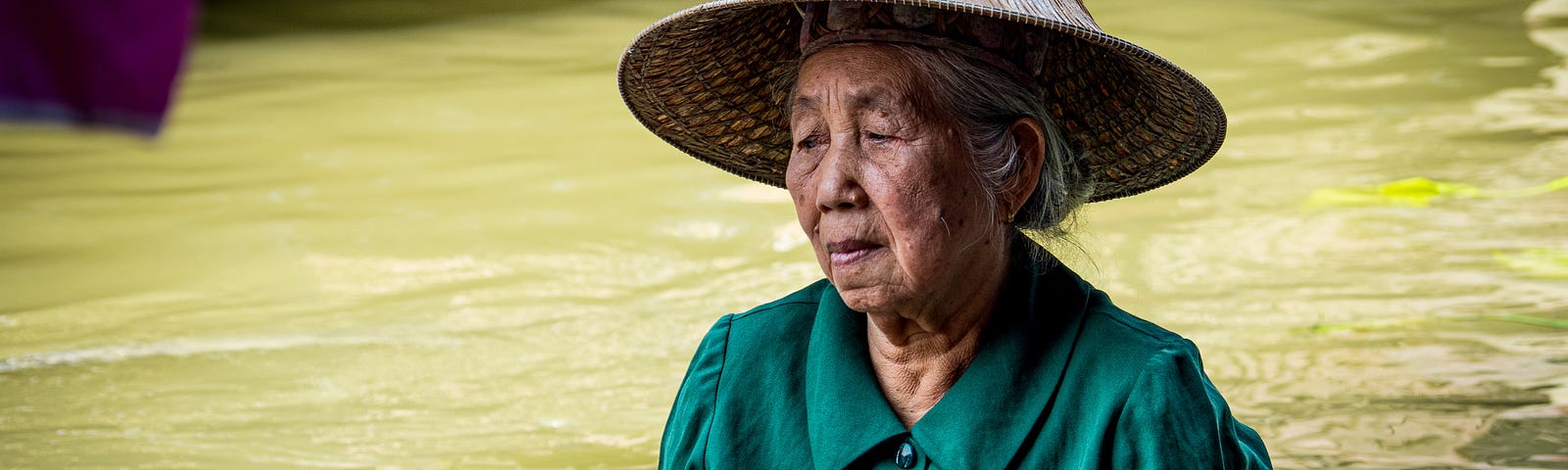 An elderly East Asian woman sits in a boat on a green river. She stares thoughtfully downward, as if she is remembering something.