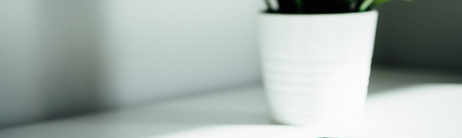 A stock photo. There is a smartphone sitting face-up on a desk beside a opened spiral coiled notebook. There is a black ballpoint pen resting on top of the notebook. In the background, there is a succulent in a white ceramic pot.