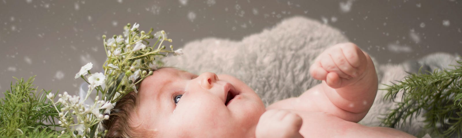 A baby with a crown of flowers contemplates in awe