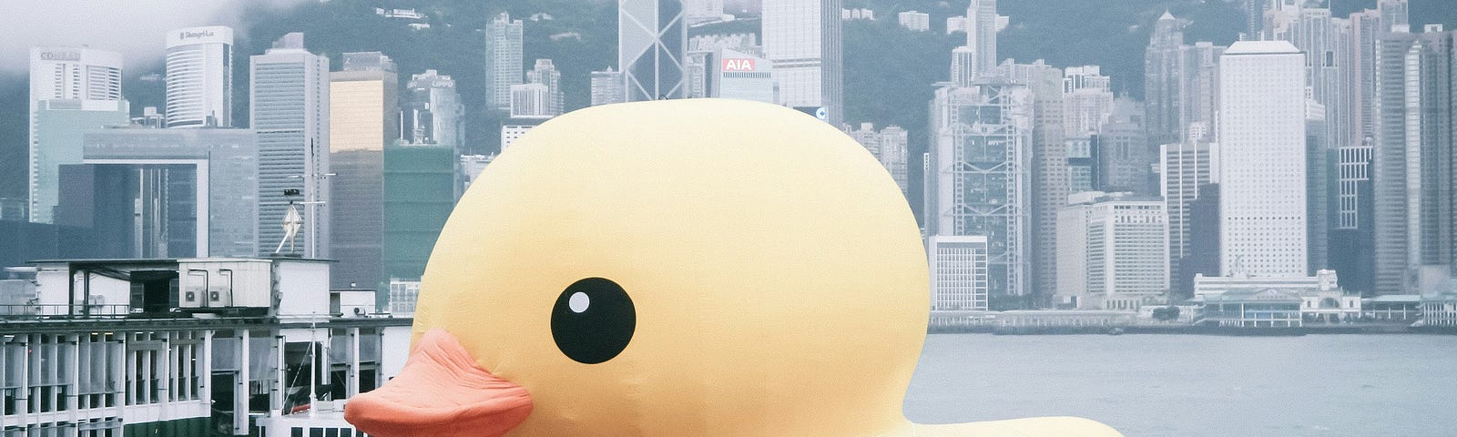 A giant rubber duck in a dock.