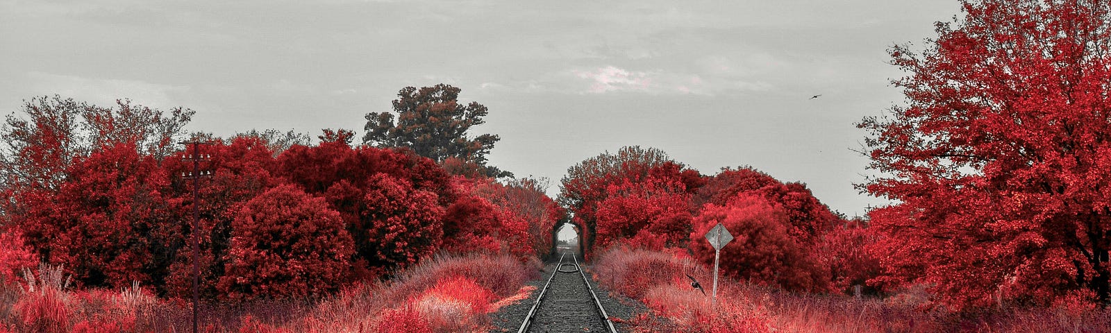 Stardust, a mythical land completely doused in red. The Lunatic view is of a railroad track with red trees and grass surrounding it.