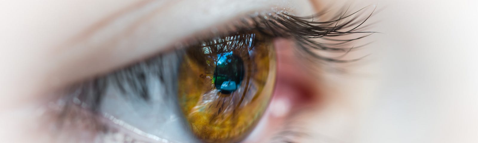 Closeup of a light brown eye