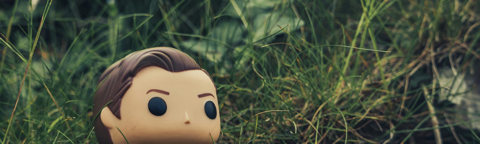 A Captain Kirk figure in the grass