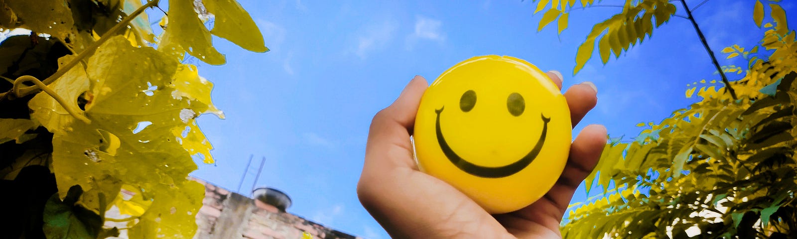 Happiness in life is all about 20 simple yet powerful daily habits