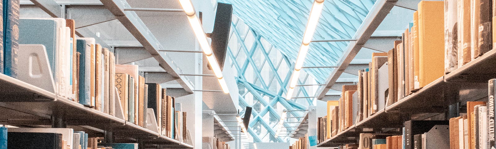 a light filled library
