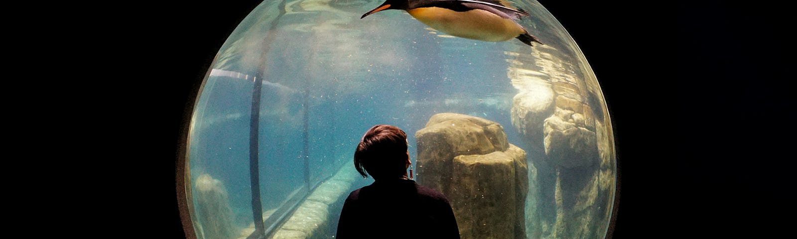 a woman sits before a globe of water with a penguin in it