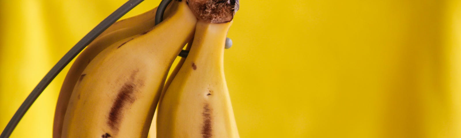 Three ripe bananas on a metal hook against a yellow background.