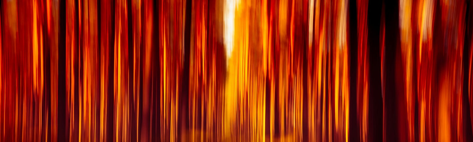 An abstract image of a forest, with black trunks and red-gold foliage.