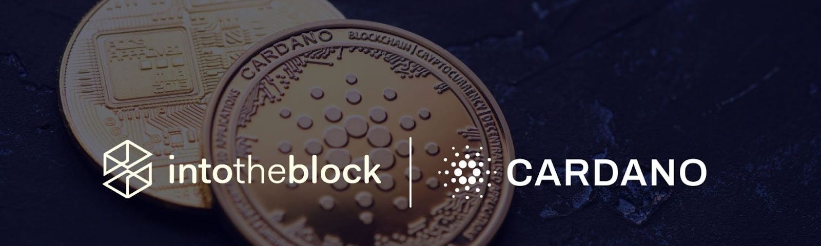 IntoTheBlock Cardano Blockchain Analytics