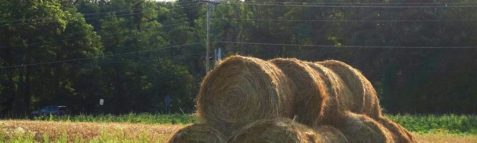 haystack in a field of green
